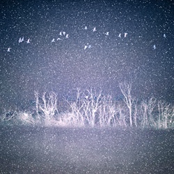dailyPhoto6